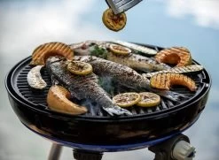 CADAC Camping Gasgrill Carri Chef 50 / BBQ - 30 Mbar 7 CADAC Camping Gasgrill Carri Chef 50 / BBQ - 30 Mbar -Günstiges Grill Geschäft CADAC Carri Chef Grillrost 1