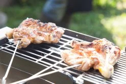 Knister Grill Original - Ausziehbarer Holzkohle Kompaktgrill -Günstiges Grill Geschäft Knister Grill Spiesse