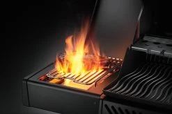 Napoleon Phantom Rogue SE 425 Gasgrill, Mattschwarz Mit Sizzle Zone Und Heckbrenner - Modell 2023 33 Napoleon Phantom Rogue SE 425 Gasgrill, Mattschwarz Mit Sizzle Zone Und Heckbrenner - Modell 2023 -Günstiges Grill Geschäft Napoleon Phantom Rogue RSE425SIBK 1PHM Detail Side Burnr Food