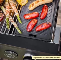 Rösle Gasgrill Videro Pro G2-P Campinggrill -Günstiges Grill Geschäft Roesle Videro PRO G2 P Gasgrill Beispiel mit Grillplatte