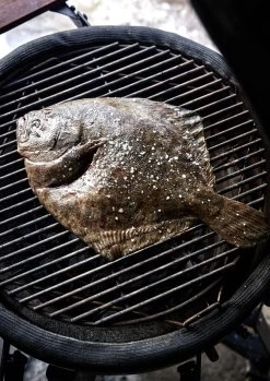 The Bastard Keramikgrill Urban Medium - Complete - Schwarz Matt - Modell 2023 -Günstiges Grill Geschäft The Bastard Medium Keramikgrill Grillflaeche