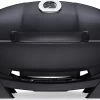 Napoleon TravelQ PRO285E Elektrogrill - Modell 2023 1 Napoleon TravelQ PRO285E Elektrogrill - Modell 2023 -Günstiges Grill Geschäft napoleon electric travelq PRO285E